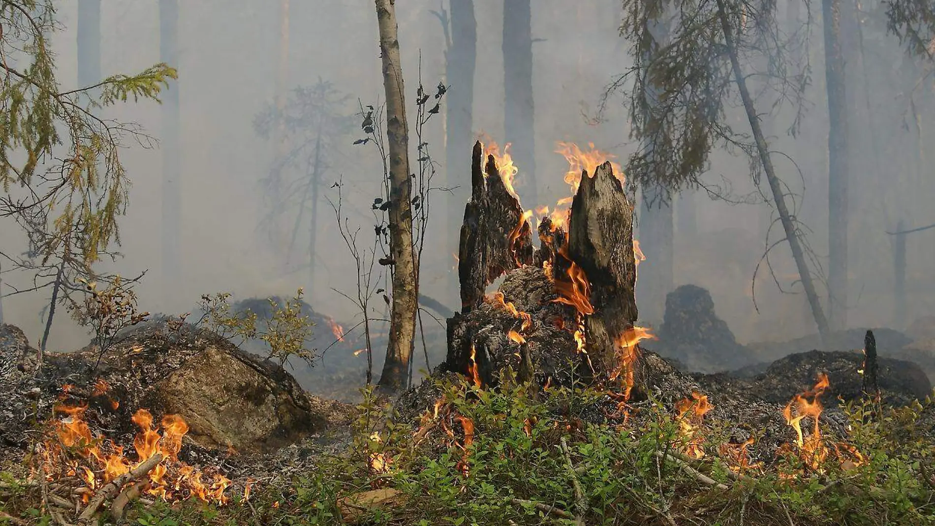 INCENDIOS FOTO PIXIBAY